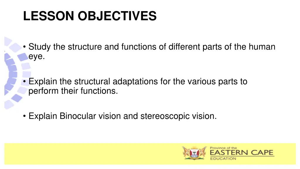 lesson objectives