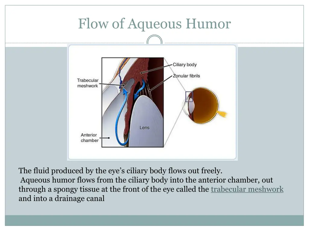 flow of aqueous humor