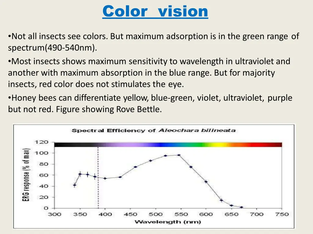 color vision