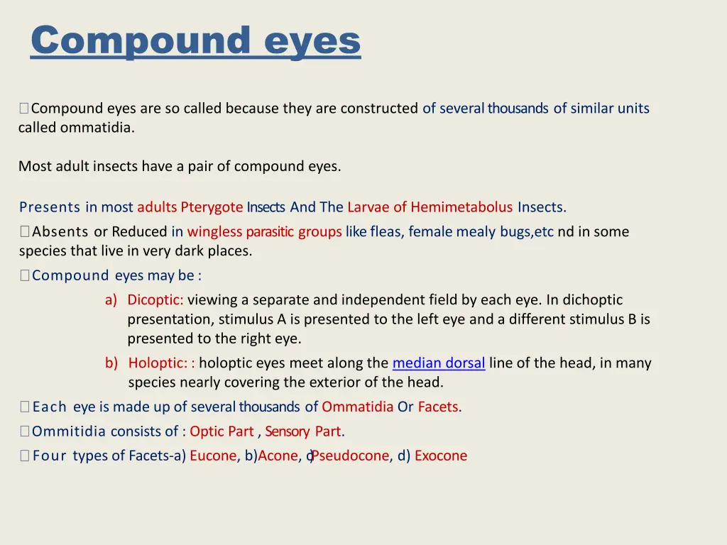 compound eyes