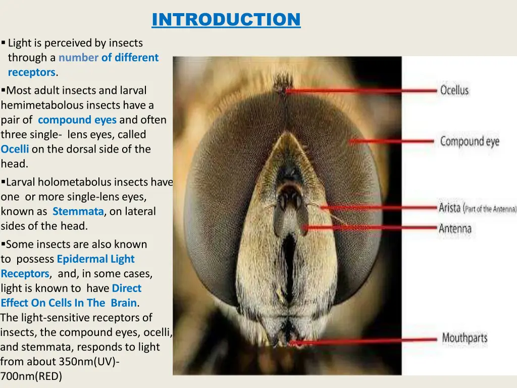 introduction