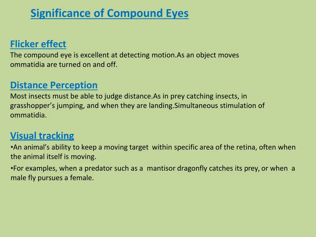 significance of compound eyes