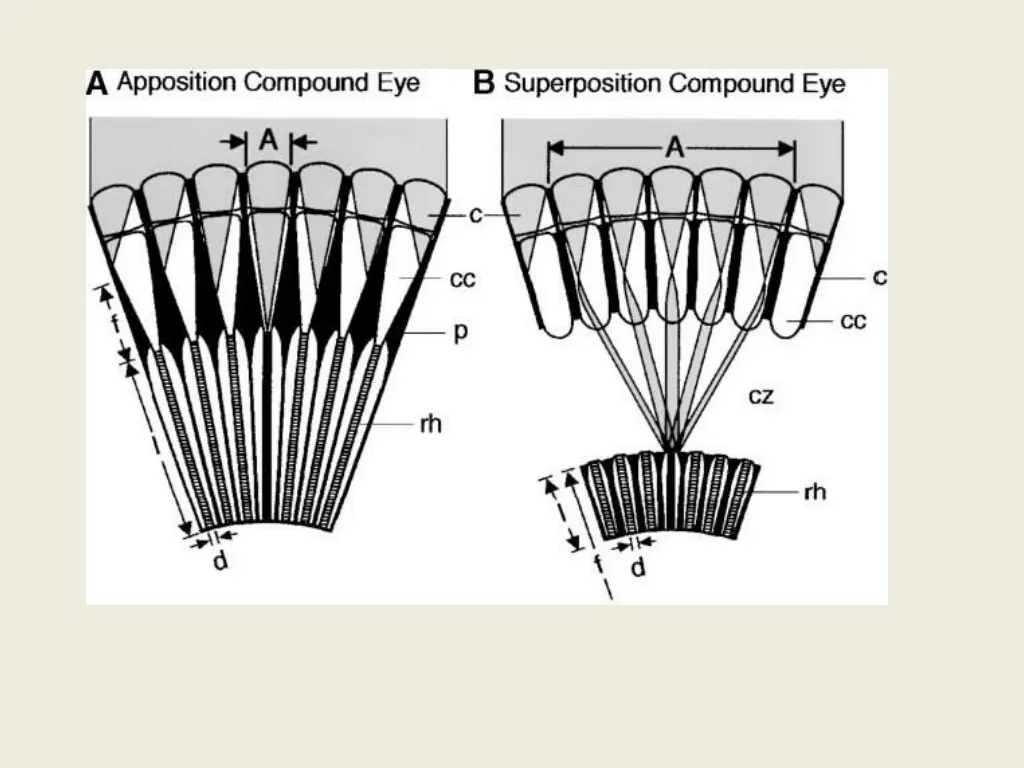 slide6