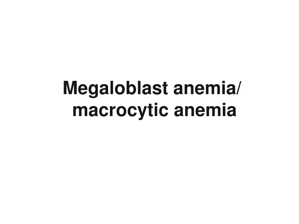 megaloblast anemia macrocytic anemia