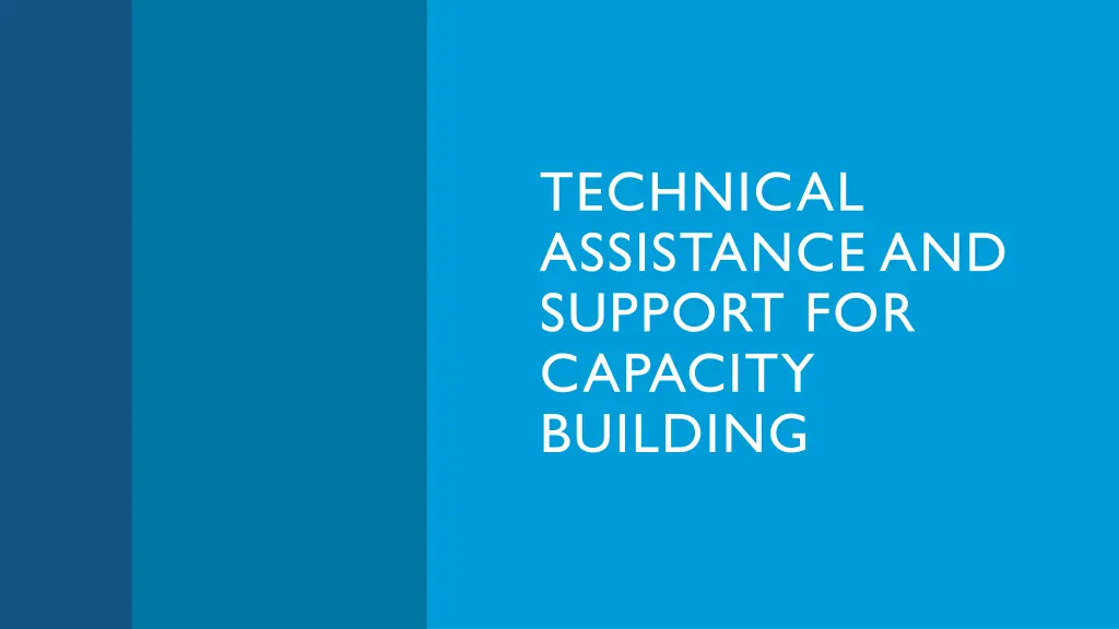 technical assistance and support for capacity