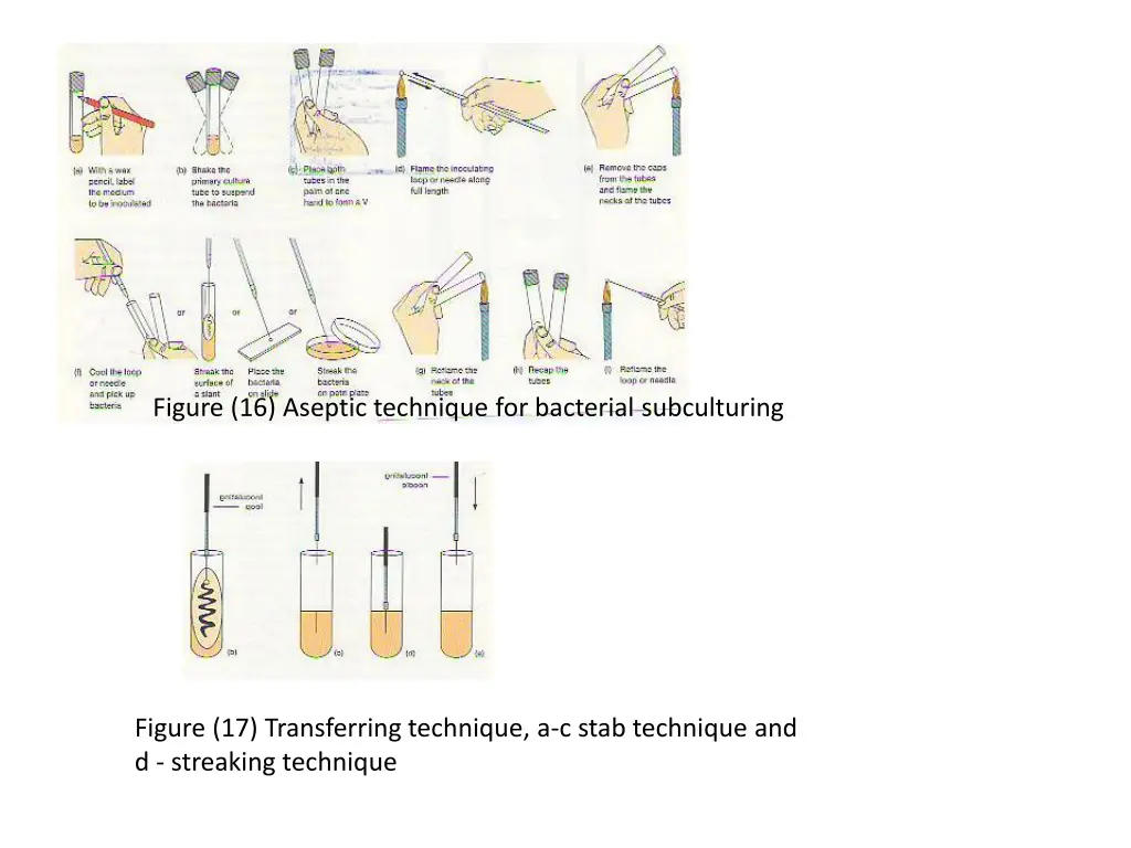 figure 16 aseptic technique for bacterial