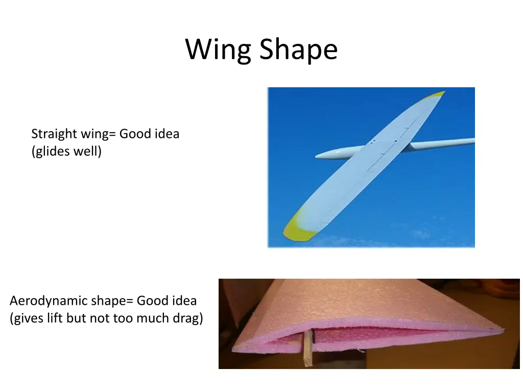 wing shape