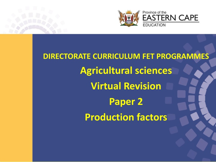 directorate curriculum fet programmes