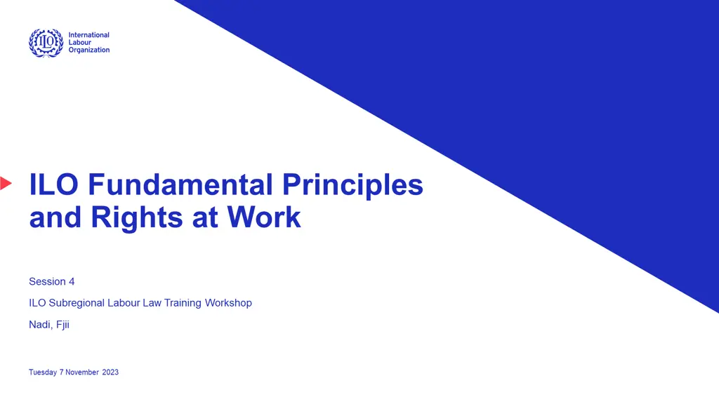 ilo fundamental principles and rights at work