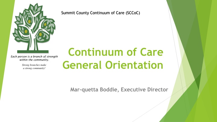 summit county continuum of care sccoc