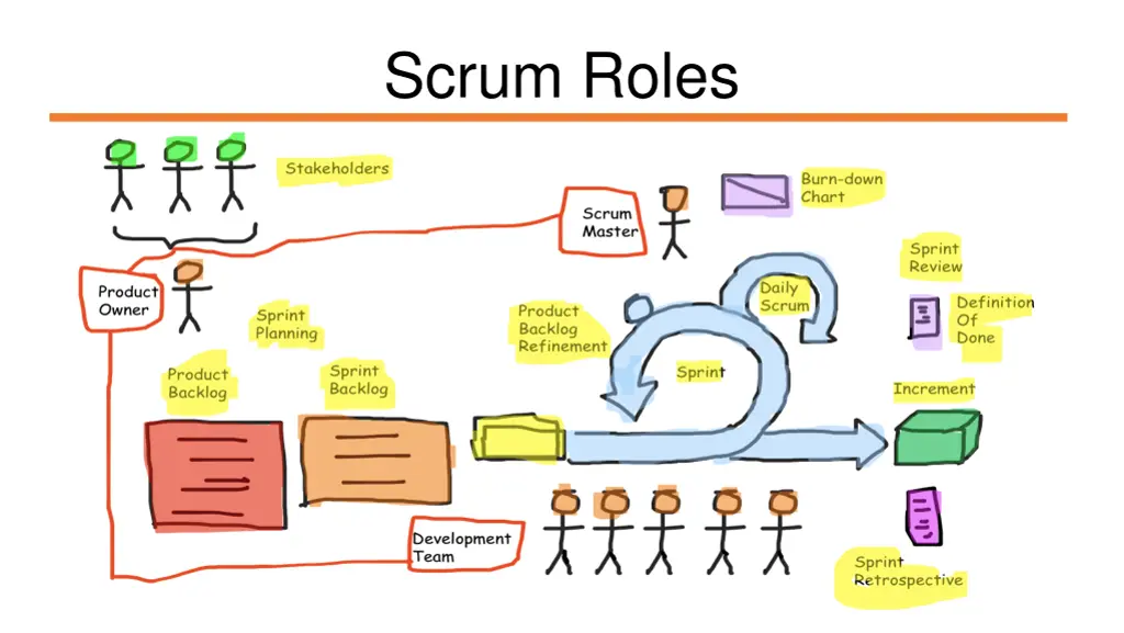 scrum roles