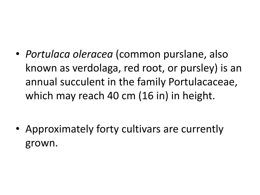 portulaca oleracea common purslane also known