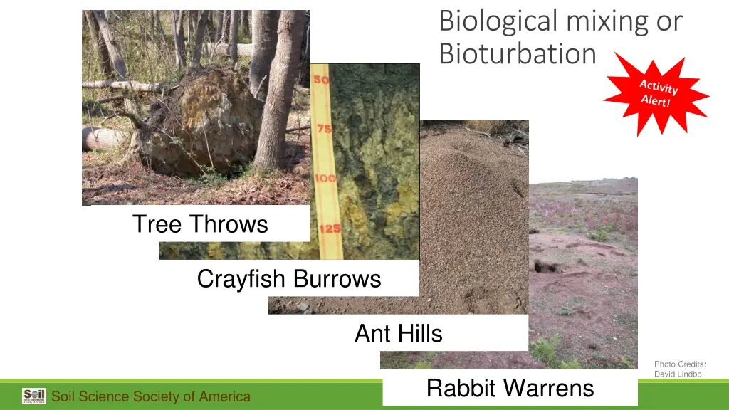 biological mixing or bioturbation