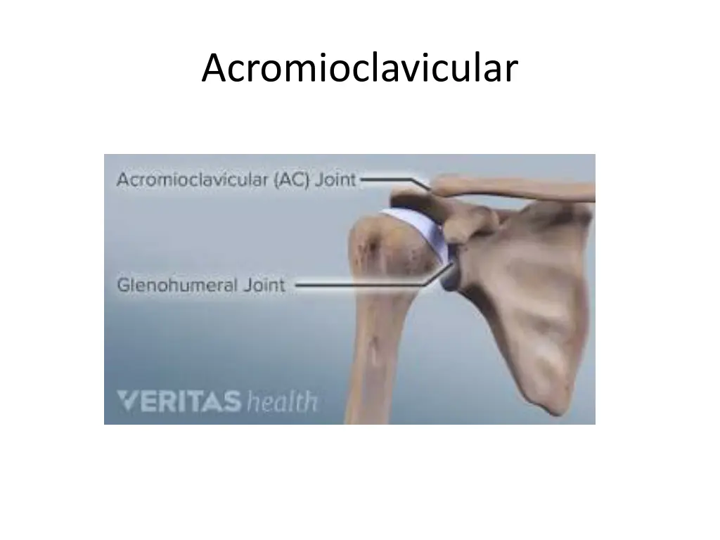 acromioclavicular