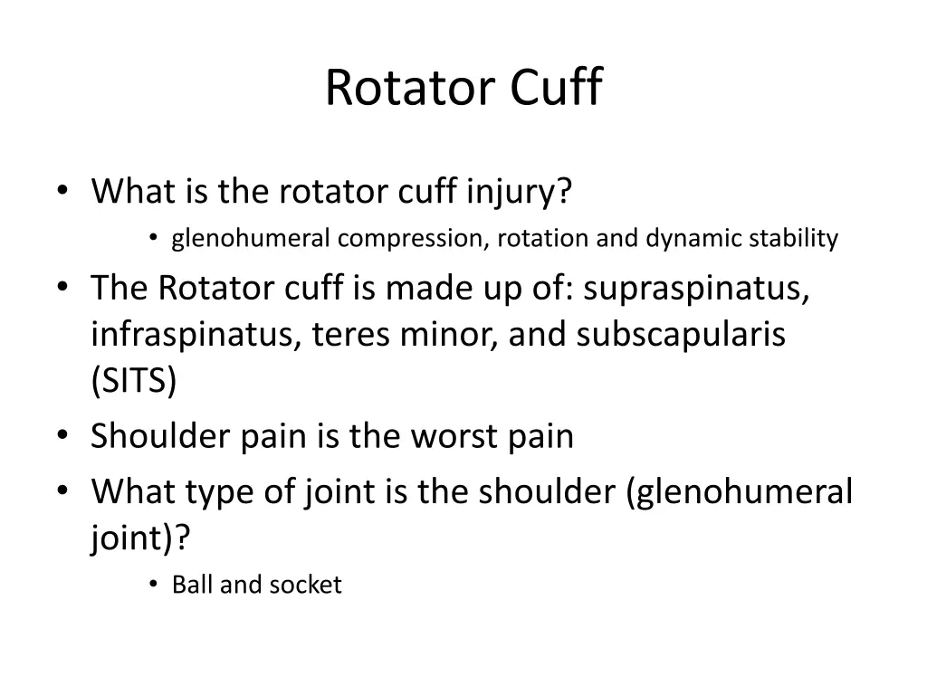 rotator cuff