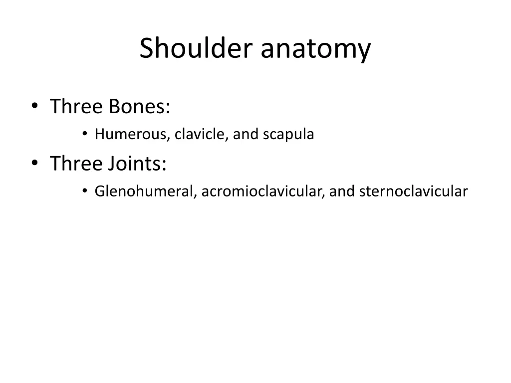 shoulder anatomy