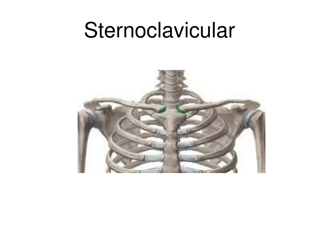 sternoclavicular