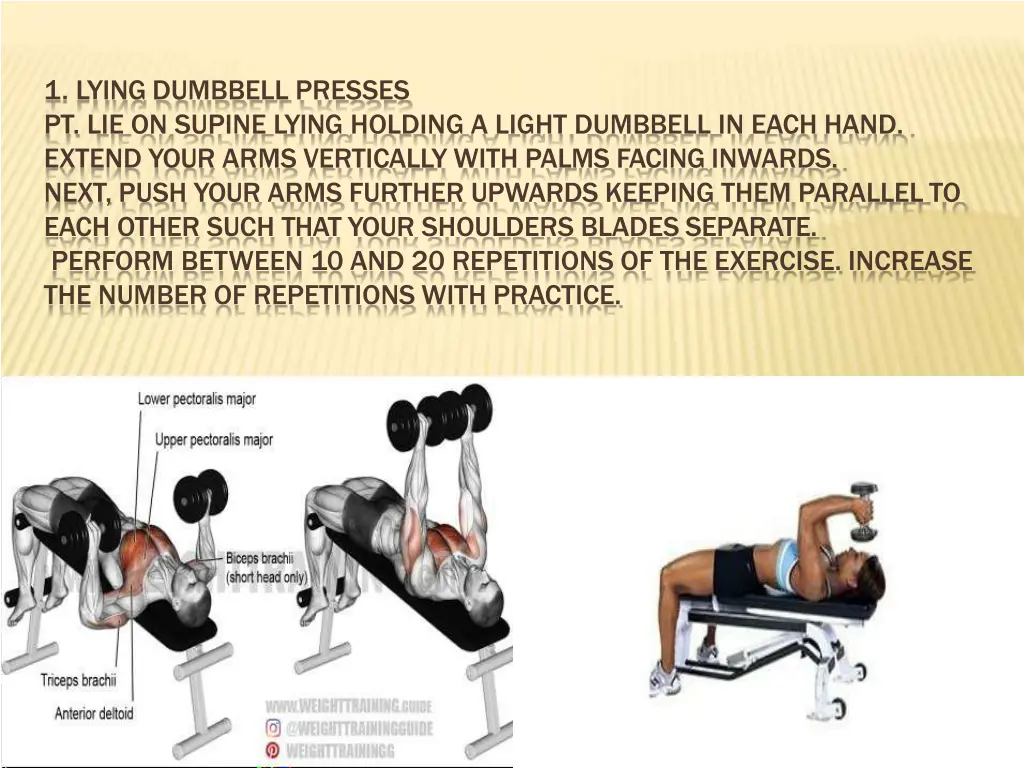 1 lying dumbbell presses pt lie on supine lying