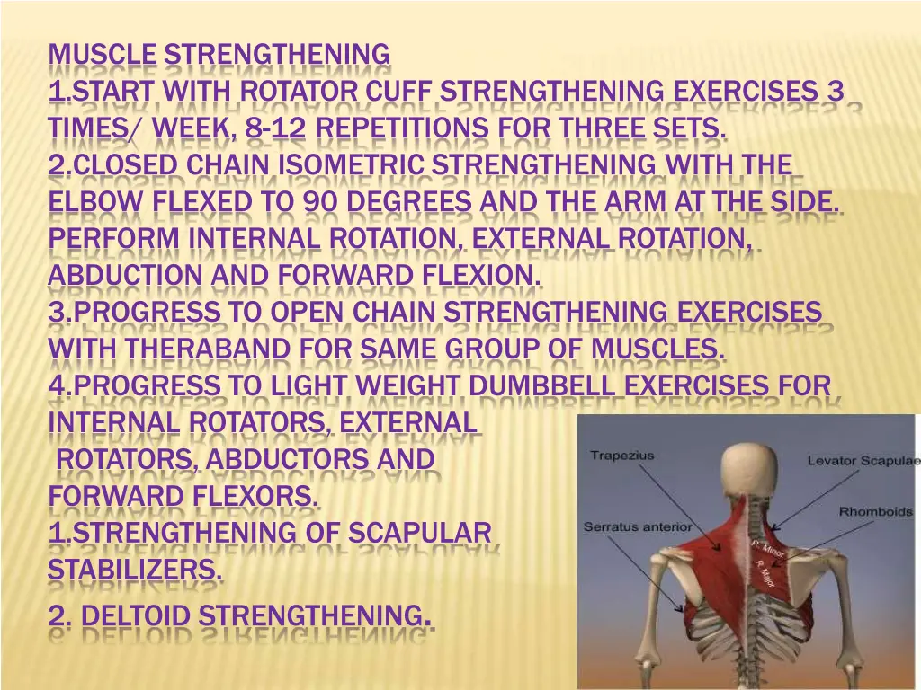 muscle strengthening 1 start with rotator cuff