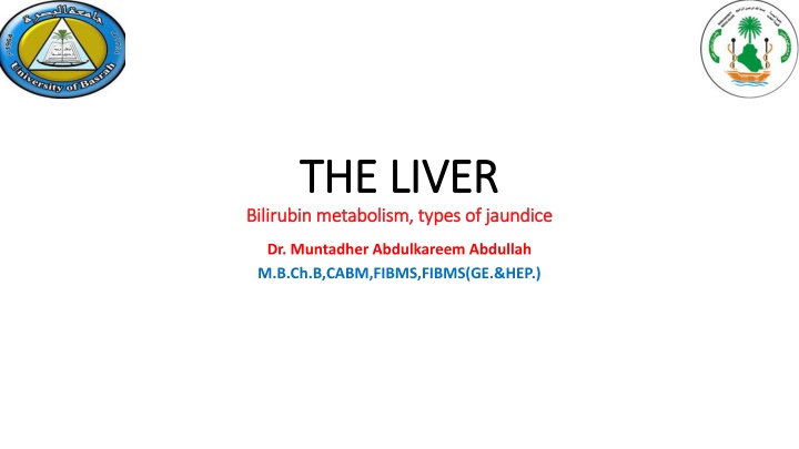 the liver the liver bilirubin metabolism types