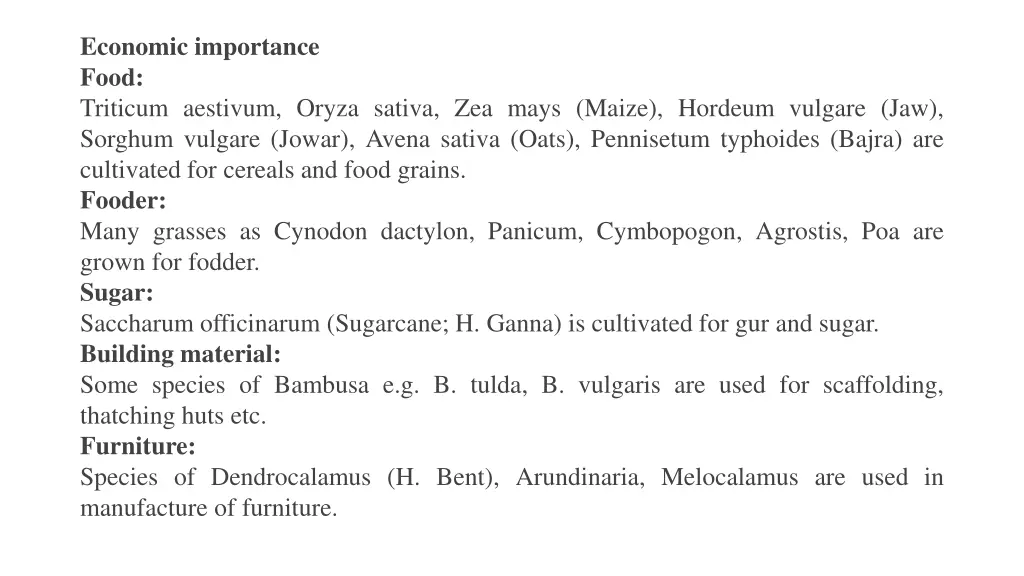 economic importance food triticum aestivum oryza