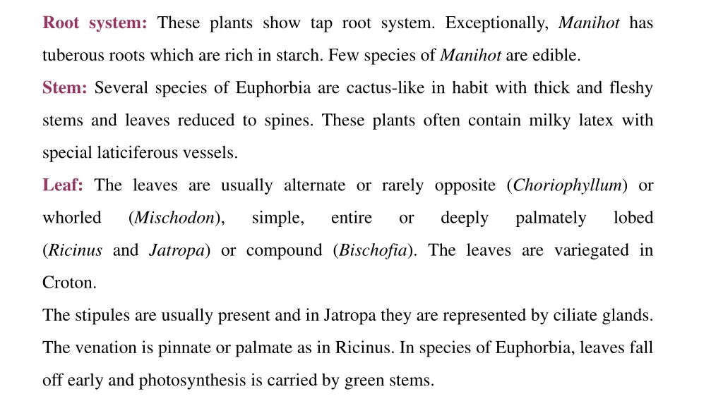 root system these plants show tap root system