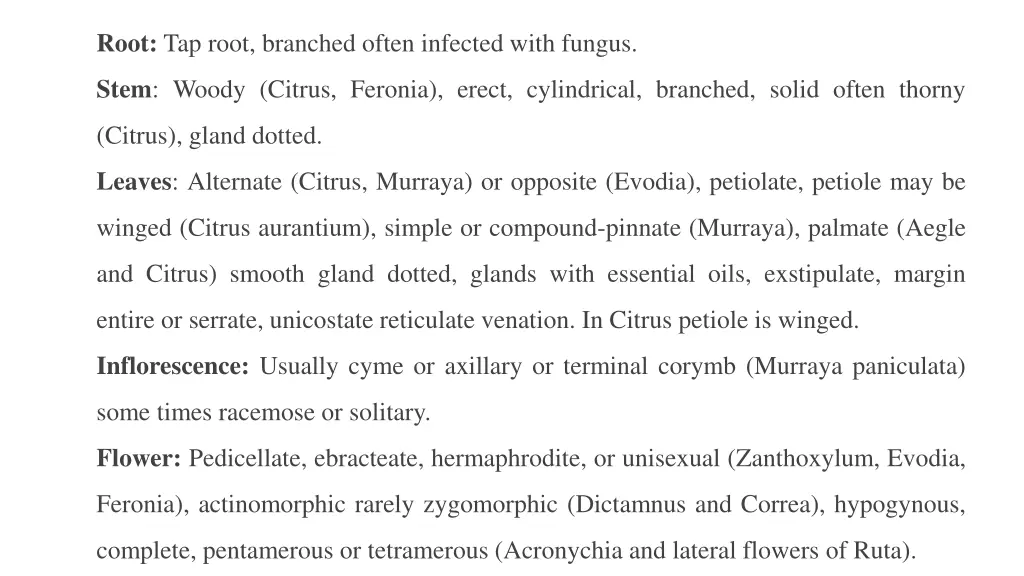 root tap root branched often infected with fungus