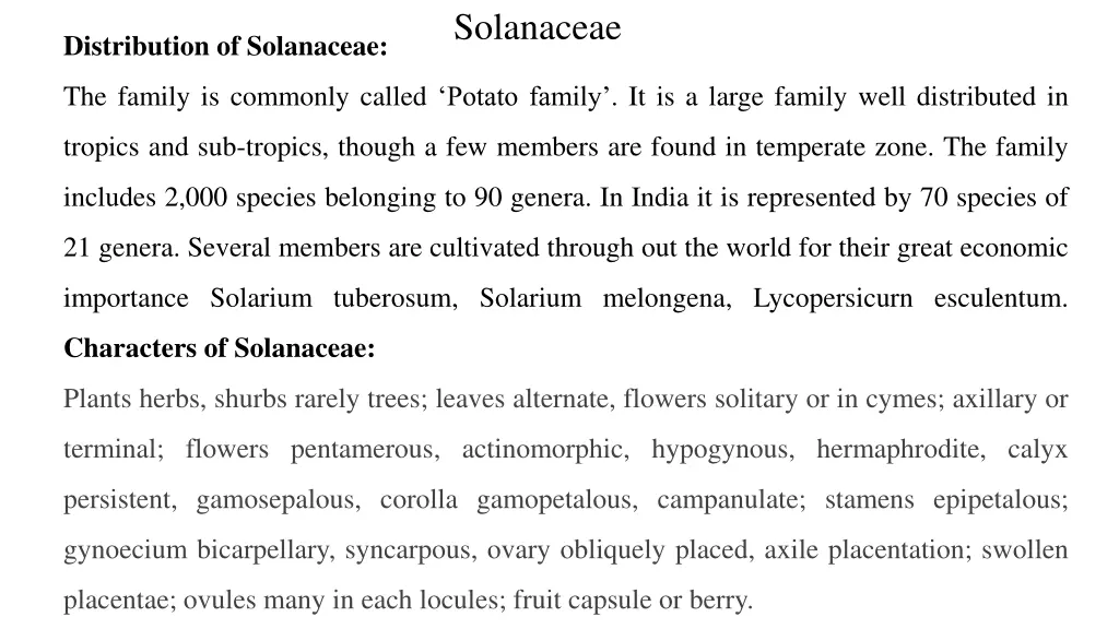 solanaceae