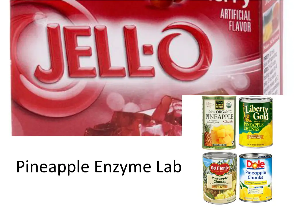 pineapple enzyme lab