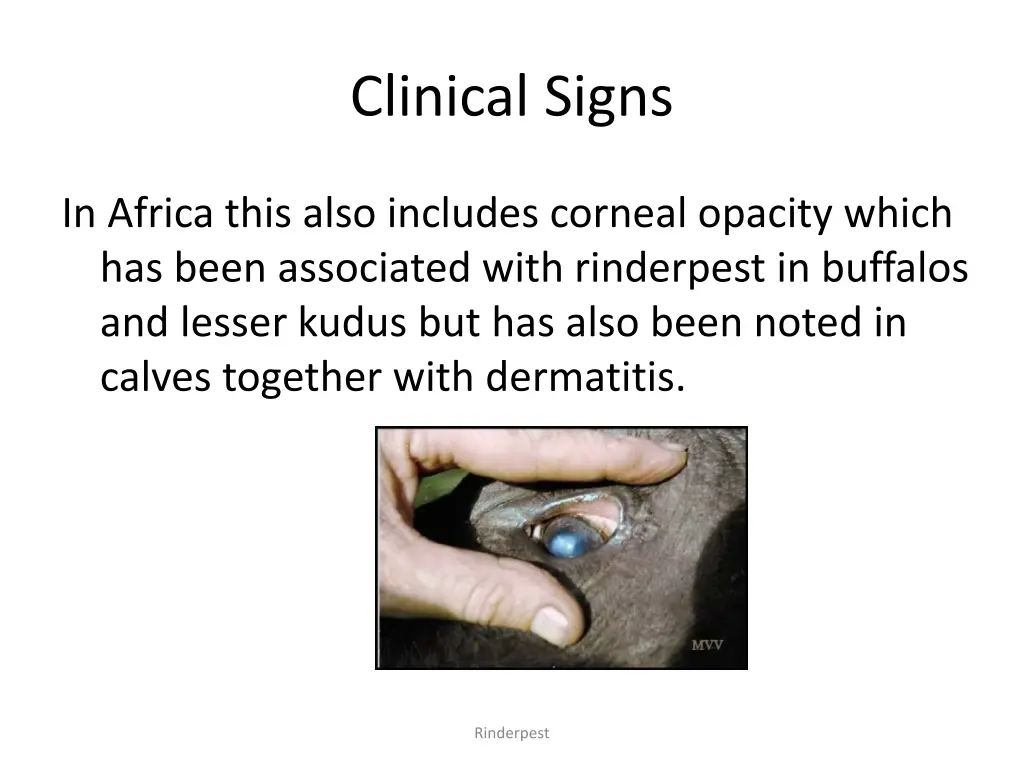 clinical signs 1