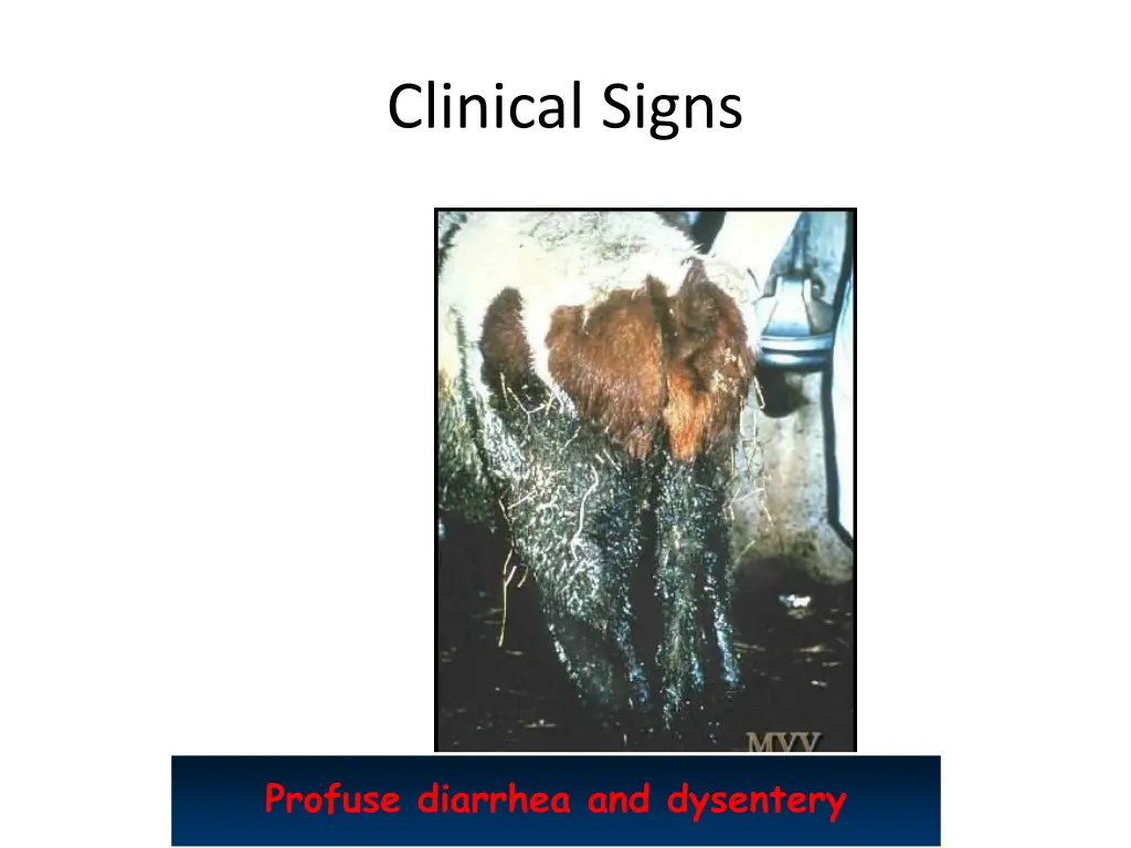 clinical signs 10