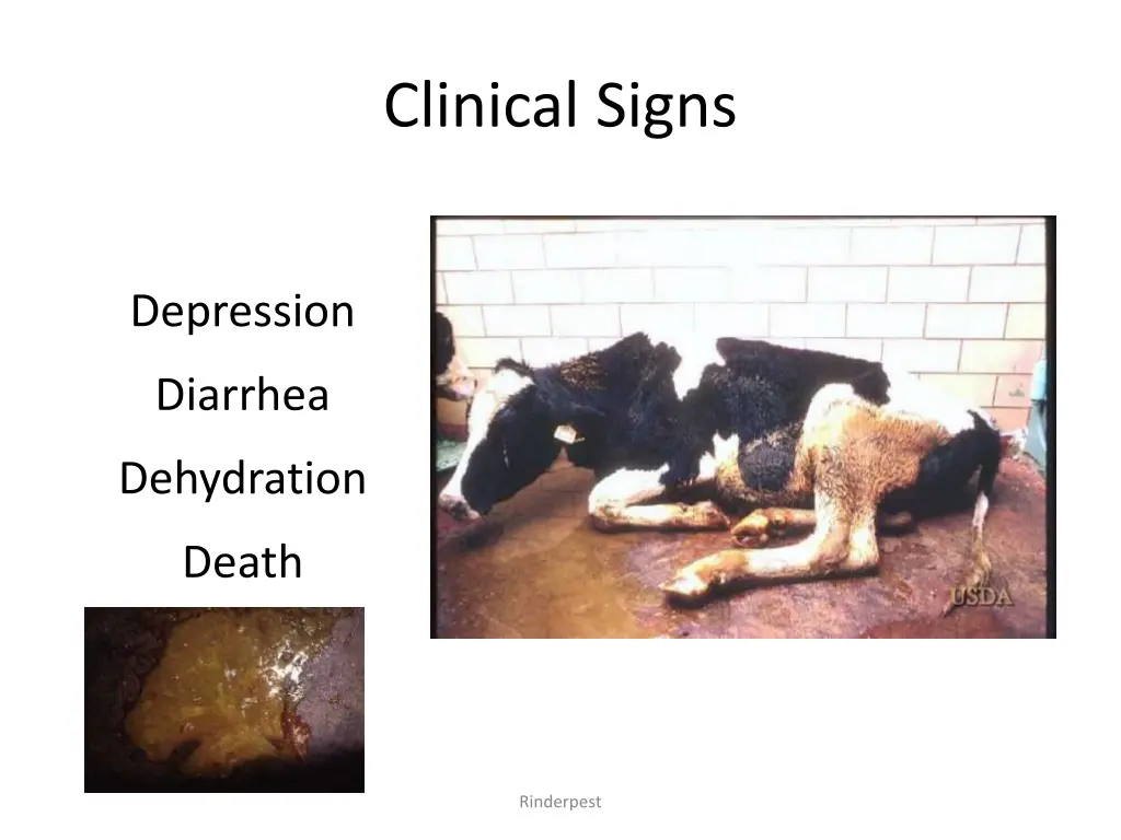 clinical signs 3