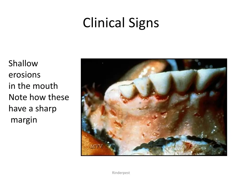 clinical signs 8