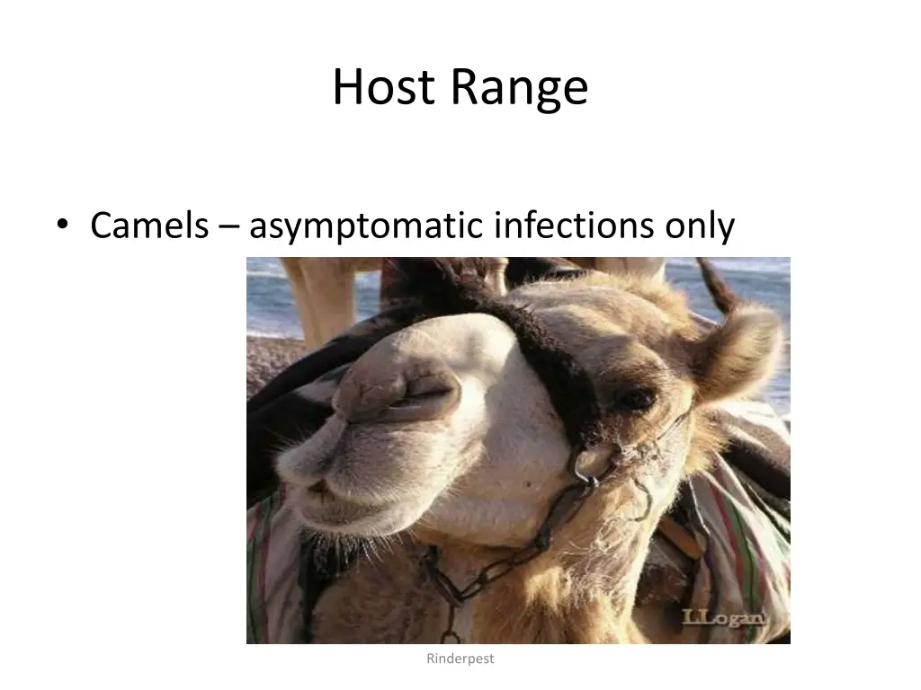 host range 2