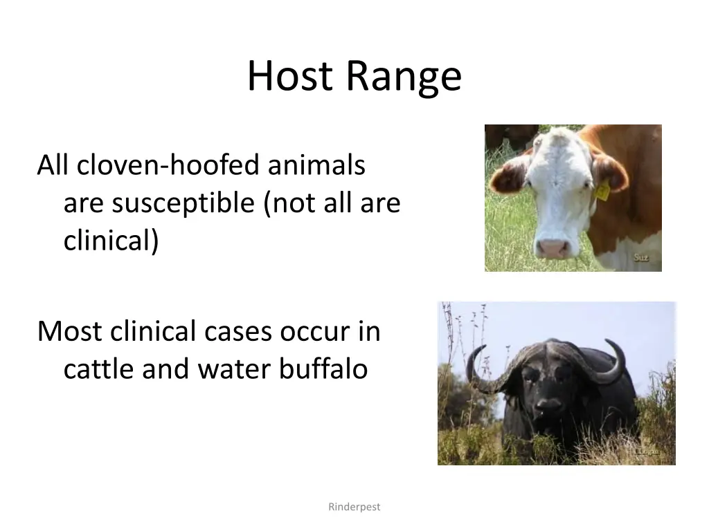 host range