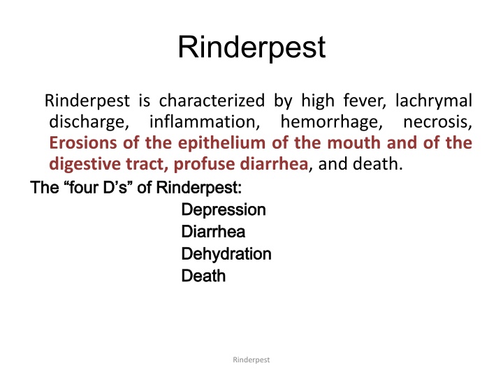 rinderpest