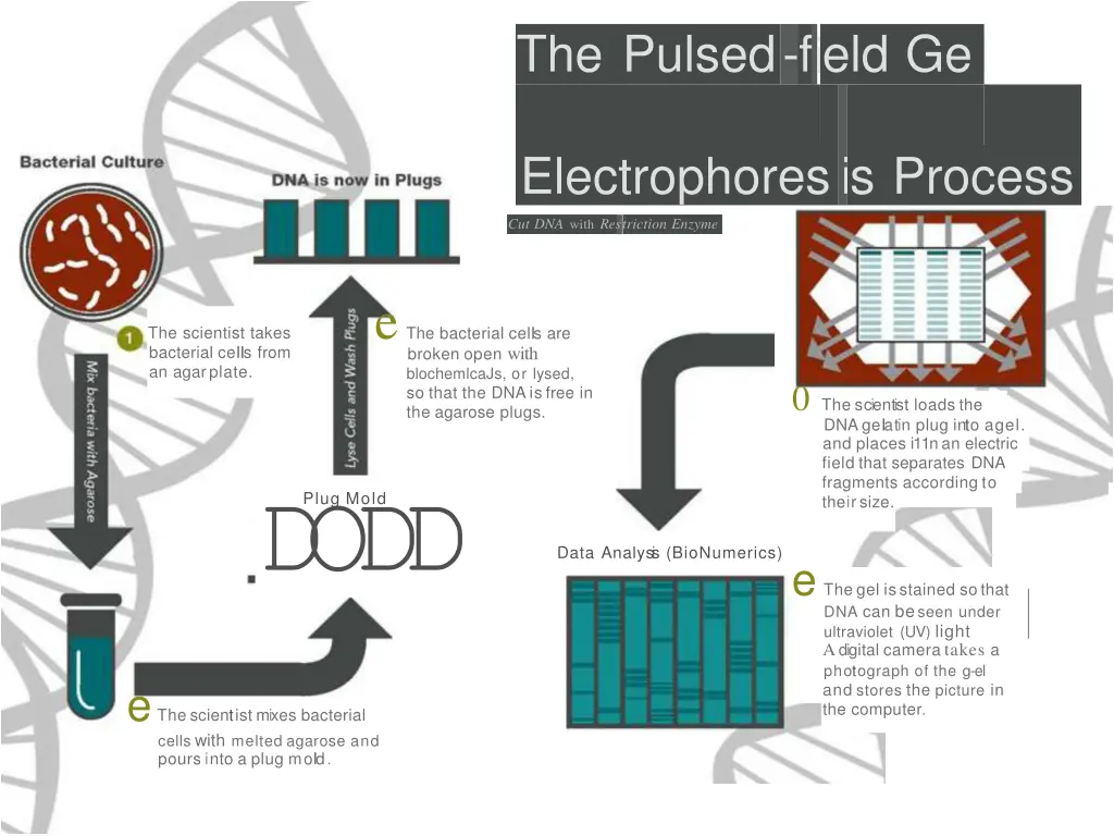 the pulsed feld ge