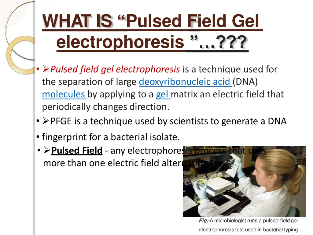 what is pulsed field gel electrophoresis