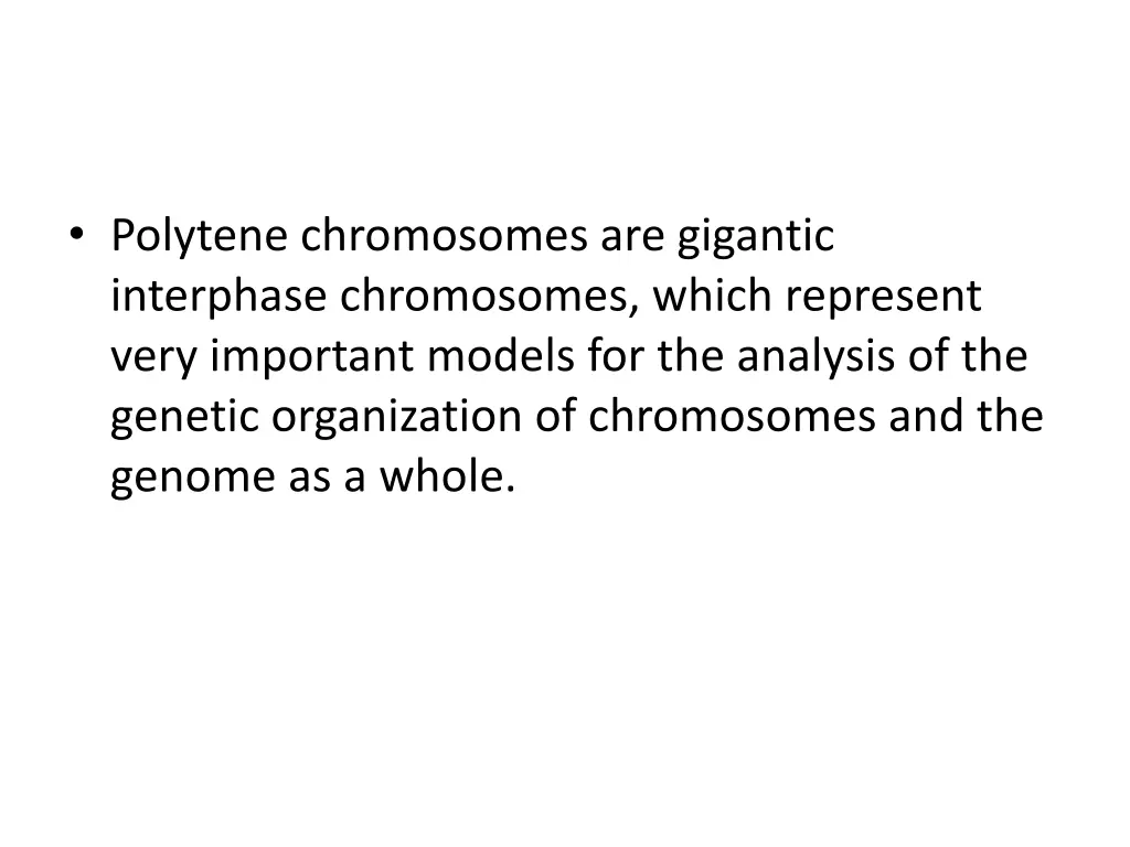 polytene chromosomes are gigantic interphase