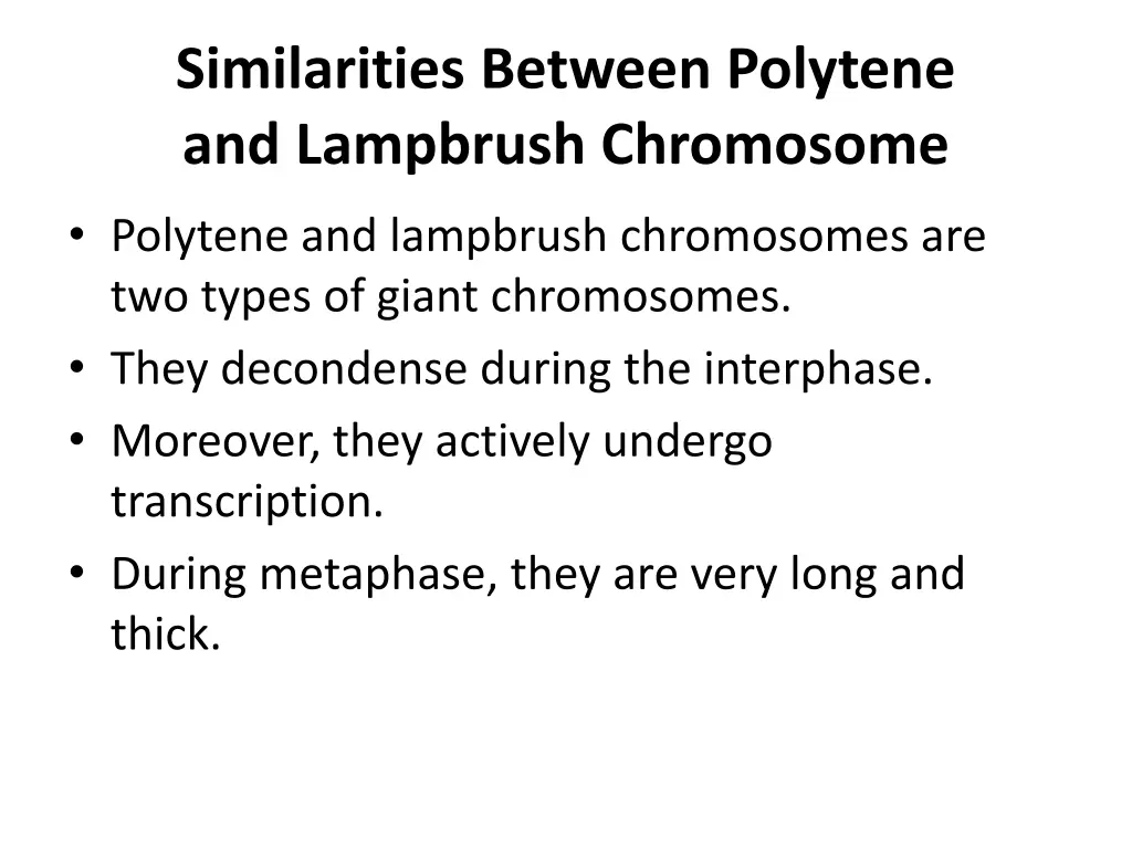 similarities between polytene and lampbrush