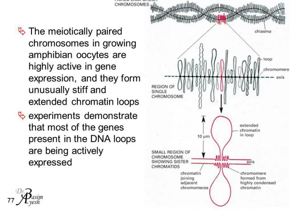 slide2