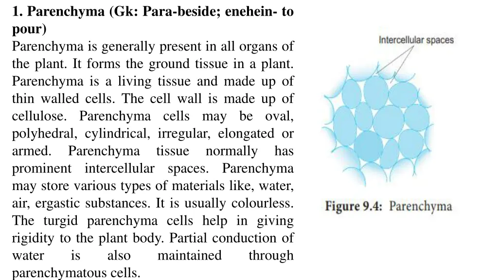 1 parenchyma gk para beside enehein to pour