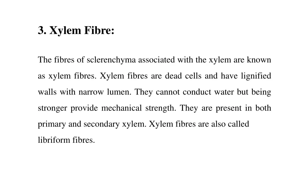 3 xylem fibre