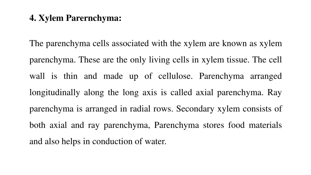 4 xylem parernchyma