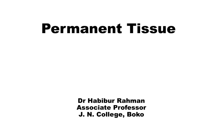 permanent tissue