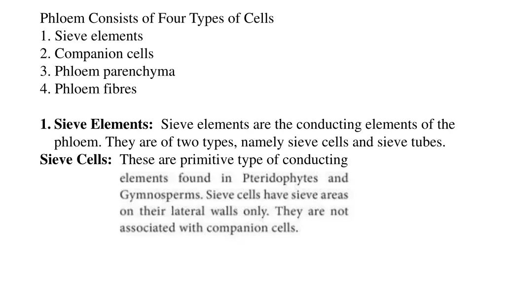 phloem consists of four types of cells 1 sieve