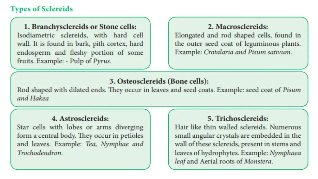 slide10