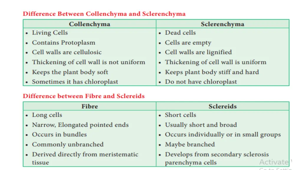 slide29