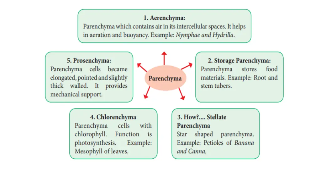 slide5