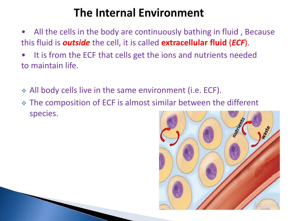 all the cells in the body are continuously